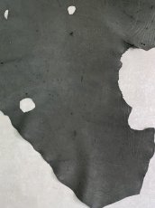 画像6: エレファントレザー　ダークグレー　ゾウ革　象革　耳　エキゾチックレザー (6)