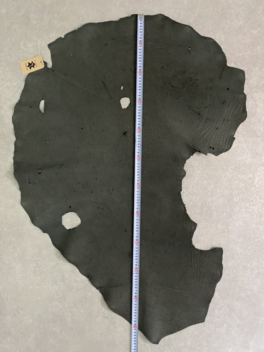 画像7: エレファントレザー　ダークグレー　ゾウ革　象革　耳　エキゾチックレザー (7)