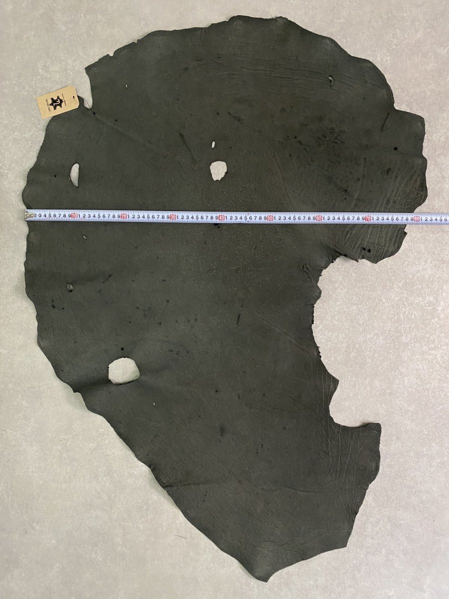 画像8: エレファントレザー　ダークグレー　ゾウ革　象革　耳　エキゾチックレザー (8)