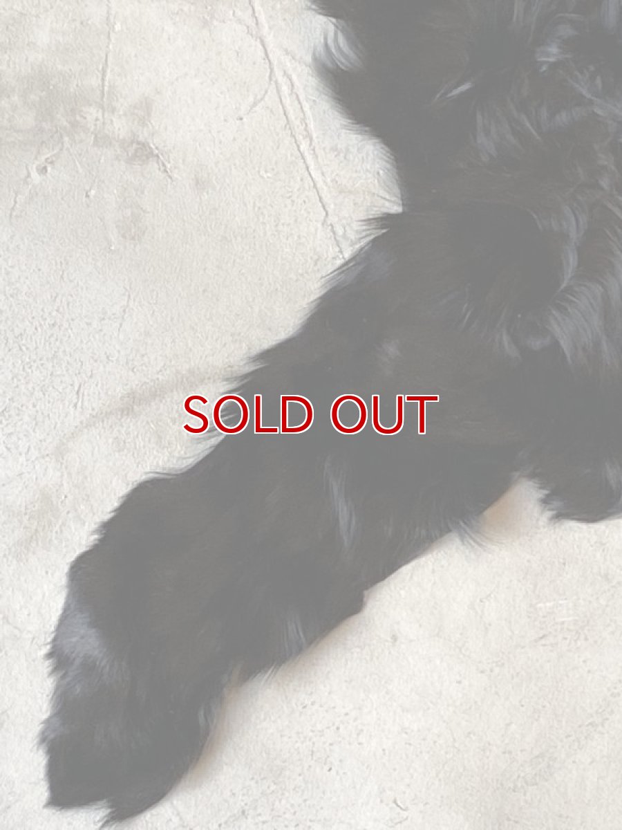 画像5: アルパカ毛皮　ブラック (5)