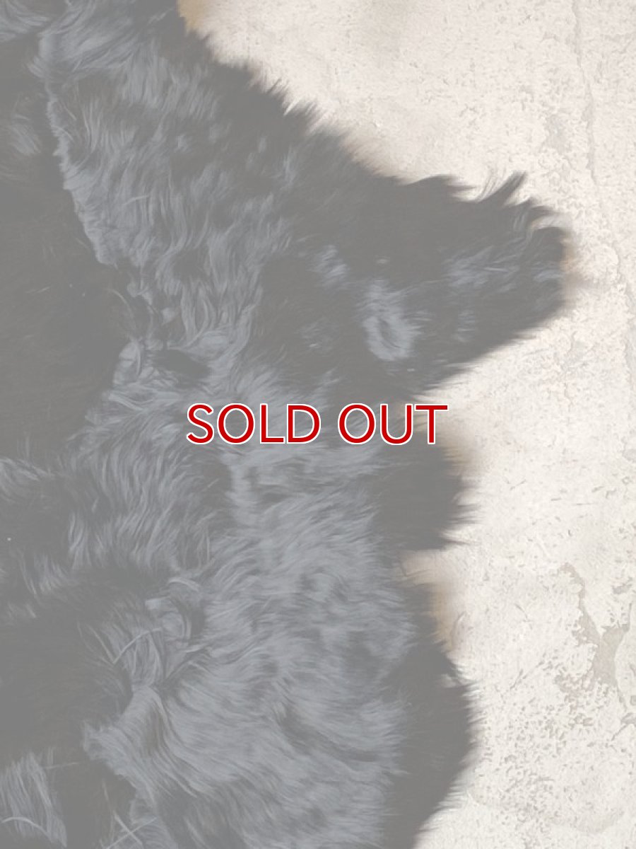 画像6: アルパカ毛皮　ブラック (6)
