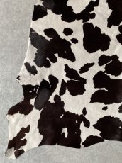 画像5: 牛 ヘアーカーフ　ホルスタイン柄　ダークブラウン×ホワイト　毛皮　牛カーフ毛付き (5)