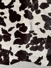 画像6: 牛 ヘアーカーフ　ホルスタイン柄　ダークブラウン×ホワイト　毛皮　牛カーフ毛付き (6)
