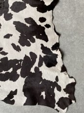 画像7: 牛 ヘアーカーフ　ホルスタイン柄　ダークブラウン×ホワイト　毛皮　牛カーフ毛付き (7)
