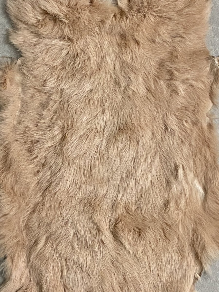 画像2: ラビットファー　ピンクベージュ　うさぎ毛皮　Lサイズ (2)