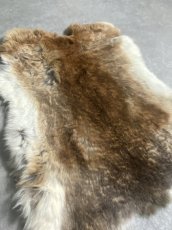 画像2: ラビットファー キャメルナチュラル うさぎ毛皮 Lサイズ (2)
