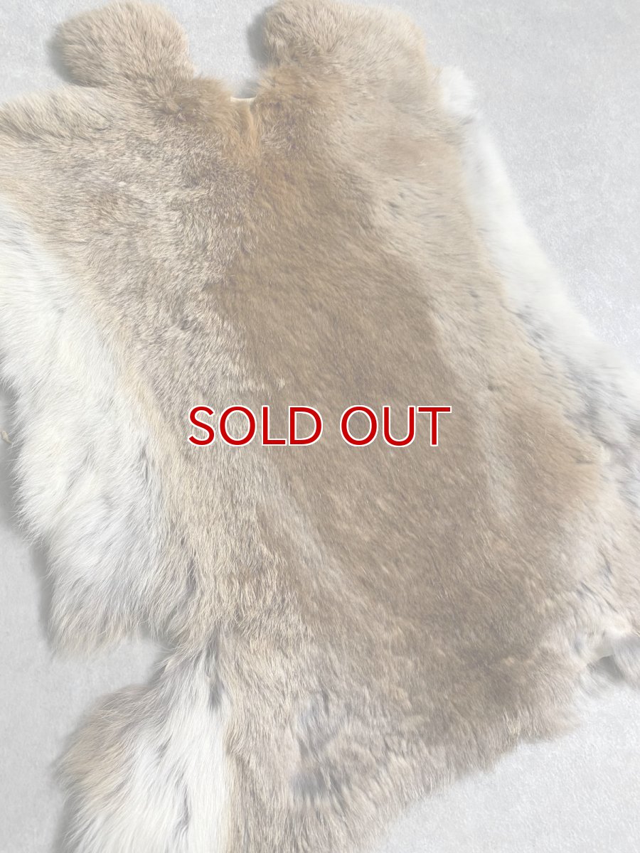 画像2: ラビットファー　キャメルナチュラル　うさぎ毛皮　Lサイズ (2)
