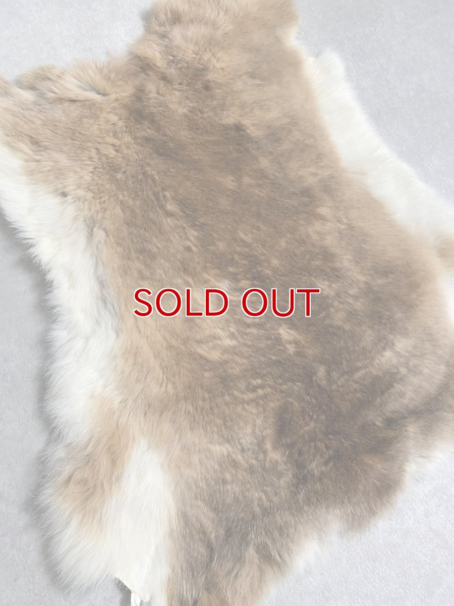 画像2: ラビットファー　キャメルナチュラル　うさぎ毛皮　Lサイズ (2)