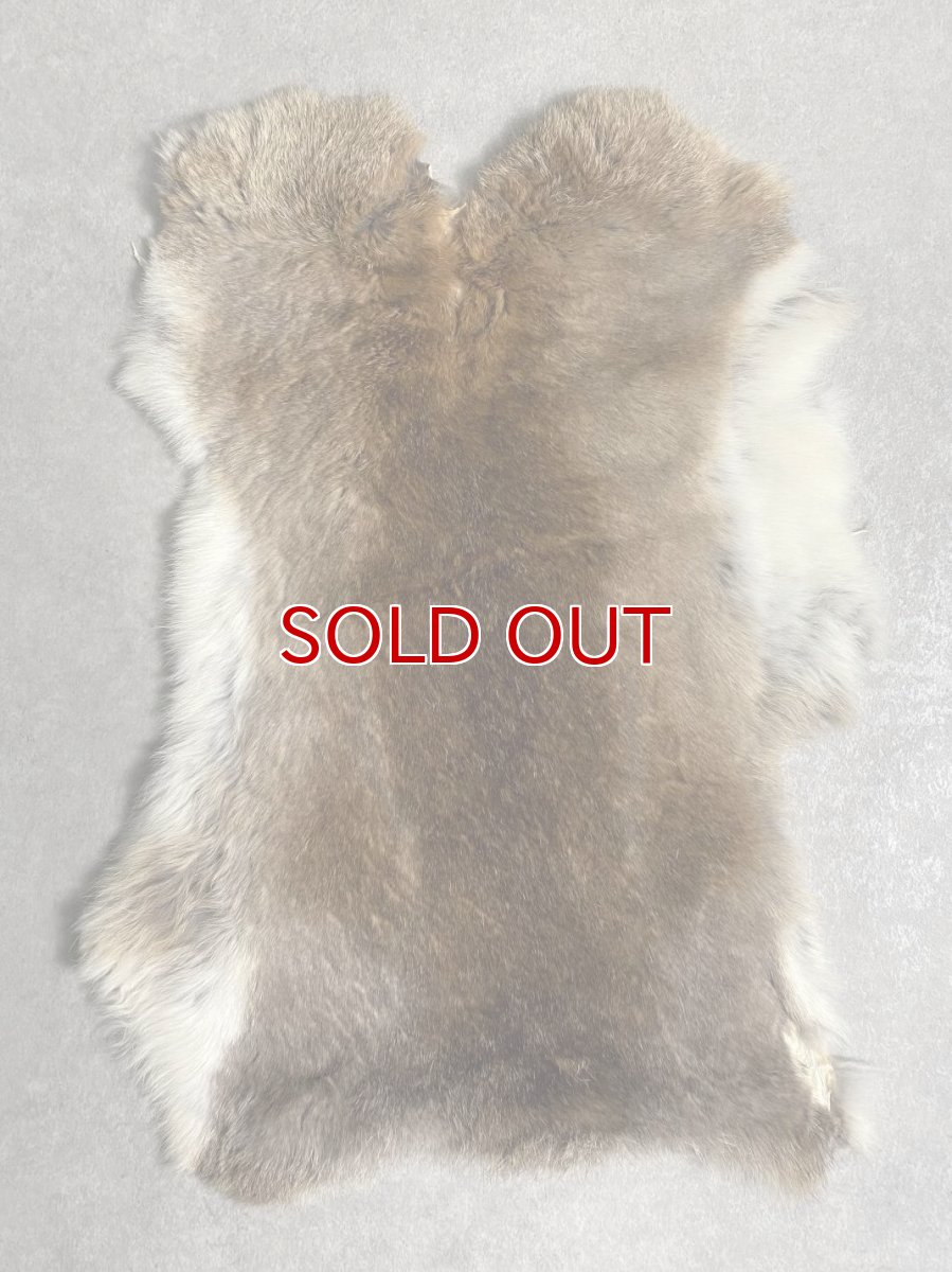 画像1: ラビットファー　キャメルナチュラル　うさぎ毛皮　Lサイズ (1)