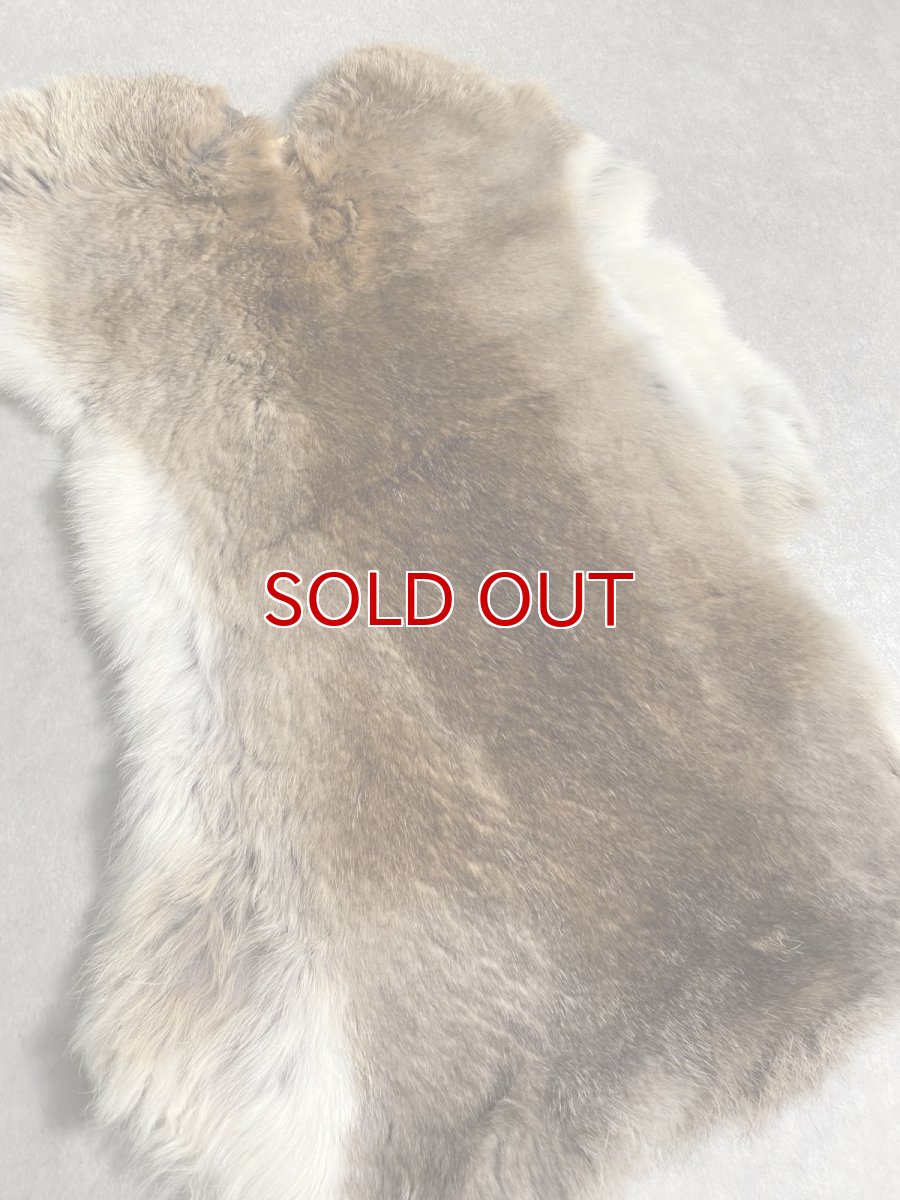 画像2: ラビットファー　キャメルナチュラル　うさぎ毛皮　Lサイズ (2)