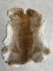 画像1: ラビットファー キャメルナチュラル うさぎ毛皮 Lサイズ (1)