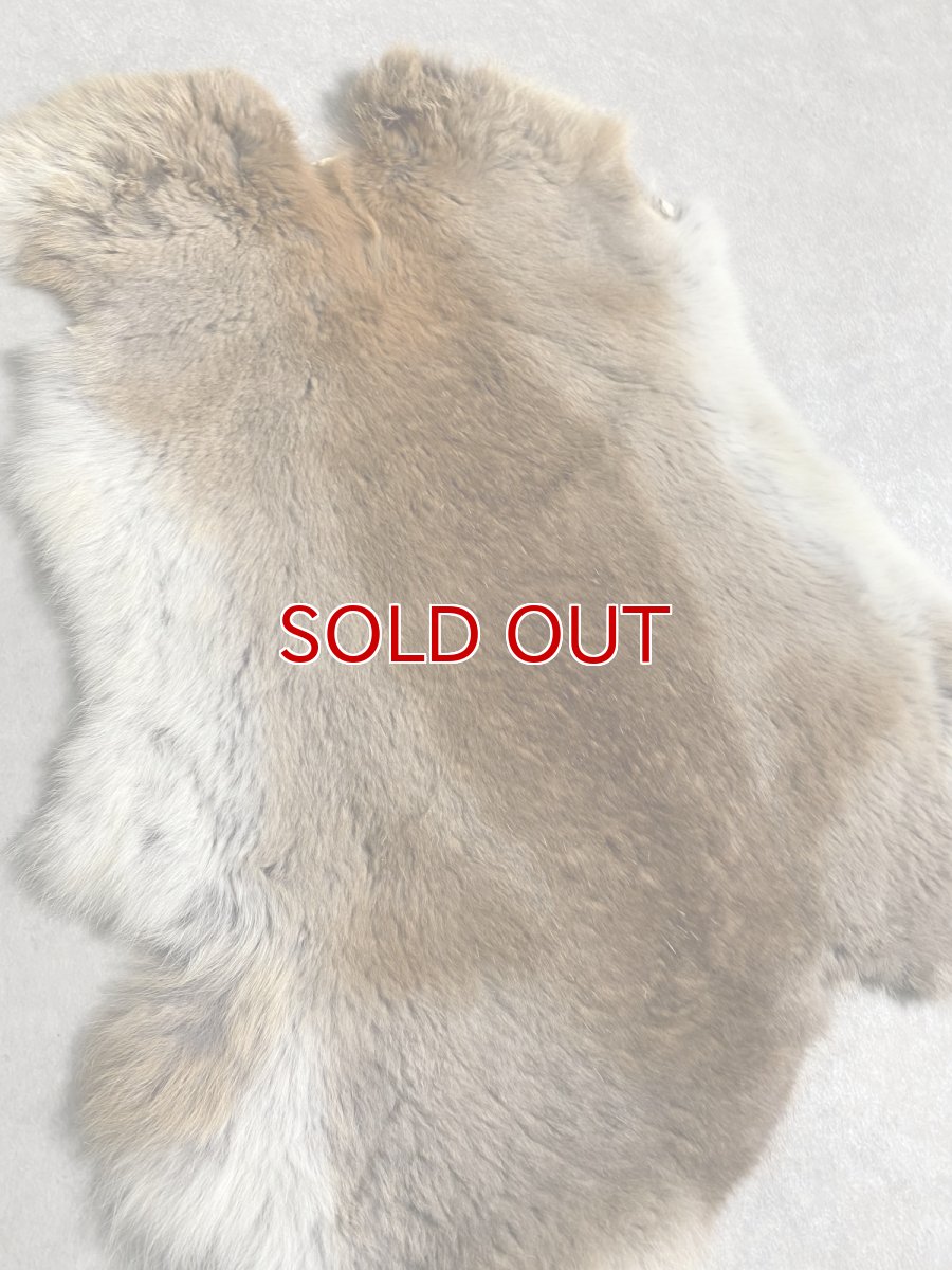 画像2: ラビットファー　キャメルナチュラル　うさぎ毛皮　Lサイズ (2)