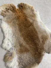 画像2: ラビットファー キャメルナチュラル うさぎ毛皮 Lサイズ (2)