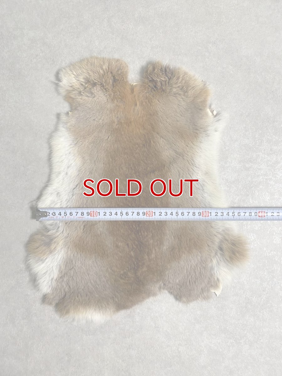 画像3: ラビットファー　キャメルナチュラル　うさぎ毛皮　Lサイズ (3)