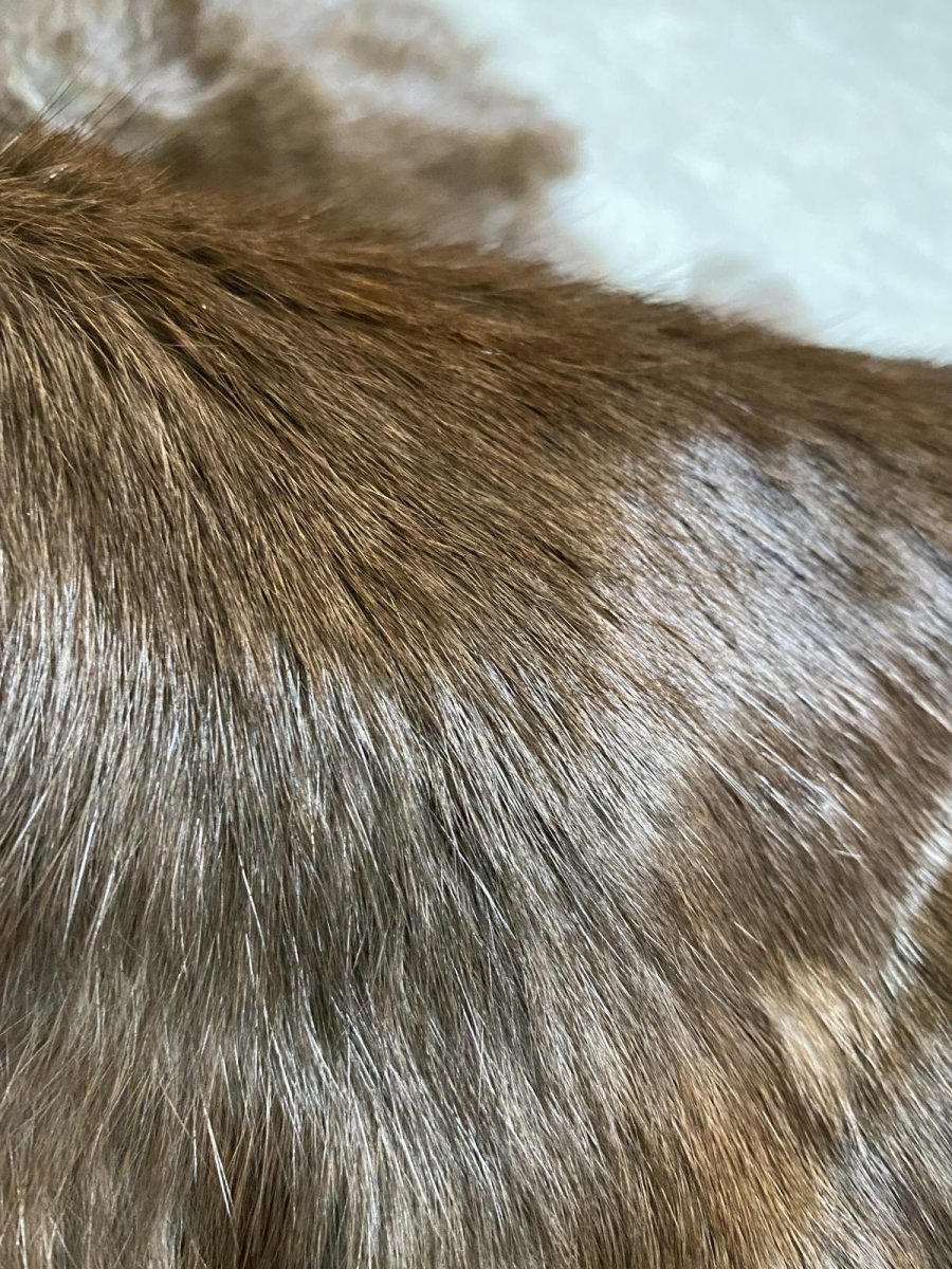 画像2: ラビットファー ブラウン うさぎ毛皮 Lサイズ (2)