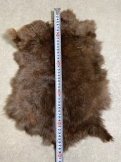 画像4: ラビットファー　ブラウン　うさぎ毛皮　Lサイズ (4)