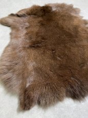 画像2: ラビットファー　ブラウン　うさぎ毛皮　Lサイズ (2)