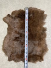 画像4: ラビットファー　ブラウン　うさぎ毛皮　Lサイズ (4)