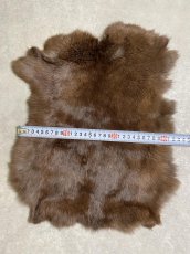 画像3: ラビットファー　ブラウン　うさぎ毛皮　Lサイズ (3)