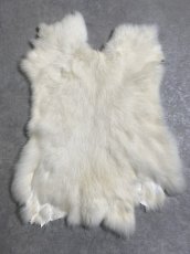 画像1: ラビットファー　ホワイト　うさぎ毛皮　L (1)