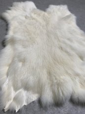 画像2: ラビットファー　ホワイト　うさぎ毛皮　L (2)