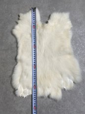 画像4: ラビットファー　ホワイト　うさぎ毛皮　L (4)