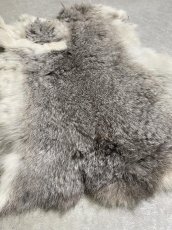 画像2: ラビットファー　チンチラ　うさぎ毛皮　Sサイズ (2)