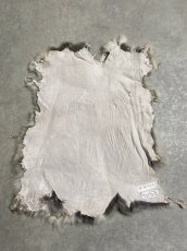 画像5: ラビットファー　チンチラ　うさぎ毛皮　Sサイズ (5)