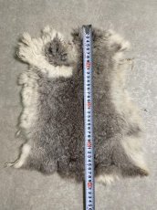 画像4: ラビットファー　チンチラ　うさぎ毛皮　Sサイズ (4)