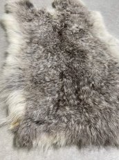 画像2: ラビットファー　チンチラ　うさぎ毛皮　Sサイズ (2)