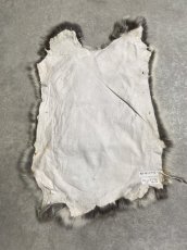 画像3: ラビットファー　チンチラ　うさぎ毛皮　Sサイズ (3)