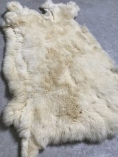 画像2: レッキスラビットファー　クリーム　うさぎ毛皮 (2)