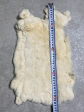 画像5: レッキスラビットファー　クリーム　うさぎ毛皮 (5)