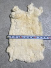 画像4: レッキスラビットファー　クリーム　うさぎ毛皮 (4)