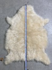 画像3: カシミア毛皮　ホワイト　　天然　敷物　ラグ (3)