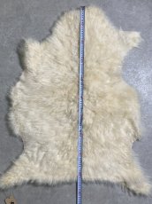 画像6: カシミア毛皮　ホワイト　　天然　敷物　ラグ (6)