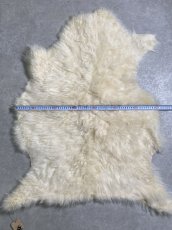 画像5: カシミア毛皮　ホワイト　　天然　敷物　ラグ (5)