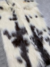 画像2: ラビットファー　ブチ　うさぎ毛皮 (2)
