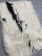 画像2: ラビットファー　ブチ　うさぎ毛皮 (2)