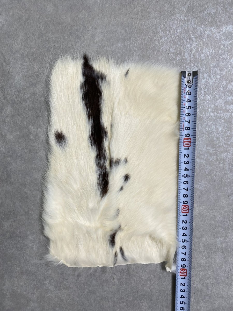 画像3: ラビットファー　ブチ　うさぎ毛皮 (3)