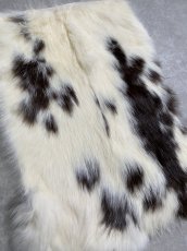 画像2: ラビットファー　ブチ　うさぎ毛皮 (2)