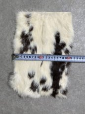 画像4: ラビットファー　ブチ　うさぎ毛皮 (4)