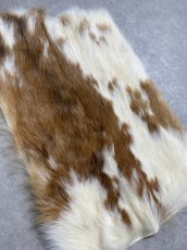 画像2: ラビットファー　ブチ　うさぎ毛皮 (2)