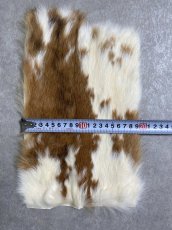 画像4: ラビットファー　ブチ　うさぎ毛皮 (4)
