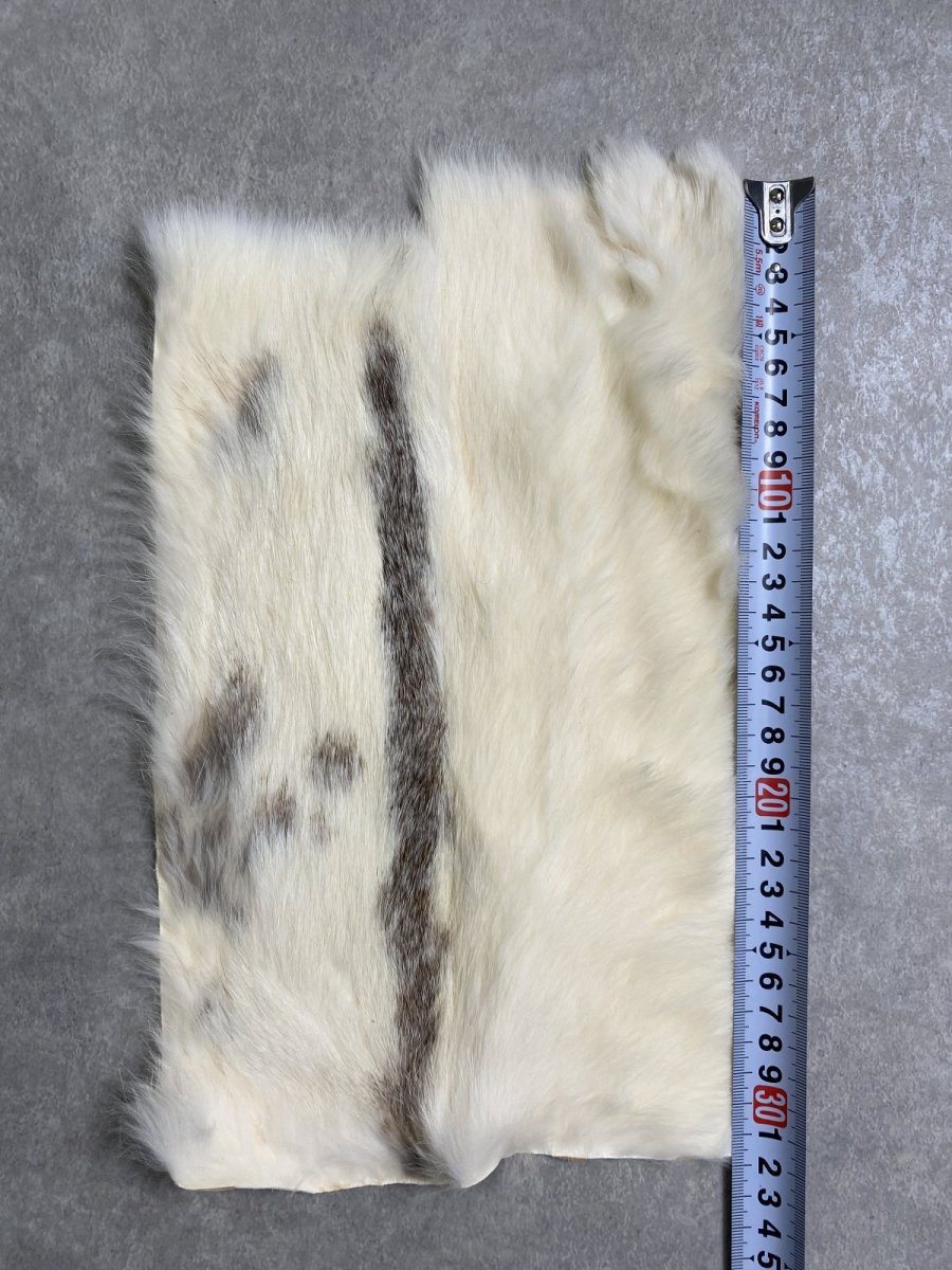 画像3: ラビットファー　ブチ　うさぎ毛皮 (3)