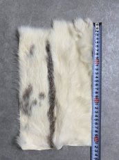 画像3: ラビットファー　ブチ　うさぎ毛皮 (3)