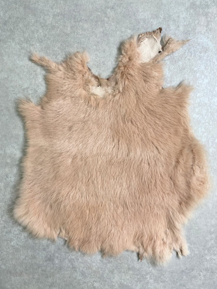 画像1: ラビットファー　ピンクベージュ　うさぎ毛皮　Lサイズ (1)