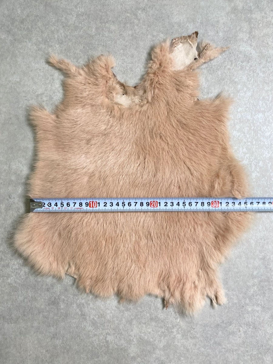 画像3: ラビットファー　ピンクベージュ　うさぎ毛皮　Lサイズ (3)