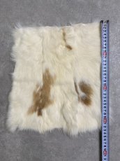画像3: ラビットファー　ブチ　うさぎ毛皮 (3)