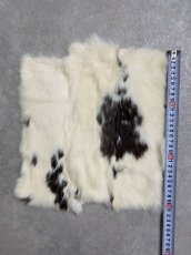 画像3: ラビットファー　ブチ　うさぎ毛皮 (3)